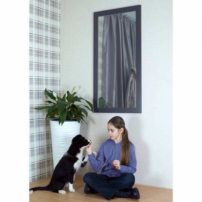 Зеркало настенное BeautyStyle 11 серый графит 118 см х 60,6 см