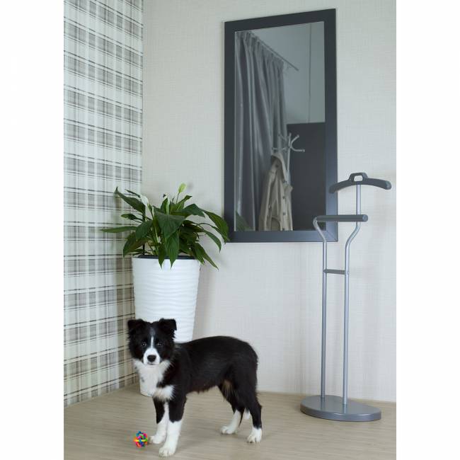 Зеркало настенное BeautyStyle 11 серый графит 118 см х 60,6 см