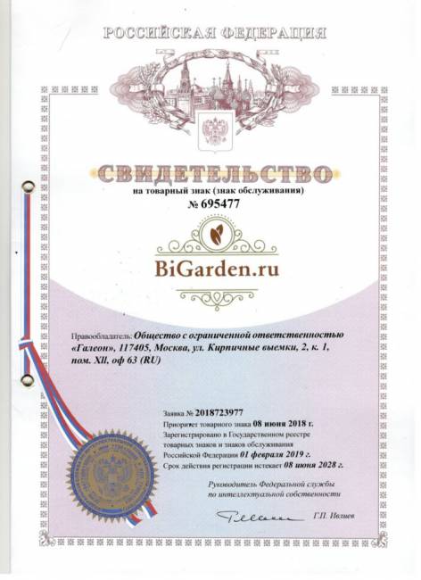 Двойное подвесное кресло "Gemini promo Gray BS", без стойки, Голубая подушка Двойное подвесное кресло "Gemini promo Gray BS", без стойки, Голубая подушка